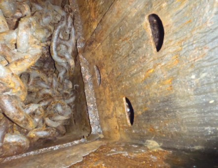 Rostige Kette innerhalb des Kettenkastens eines Schiffes